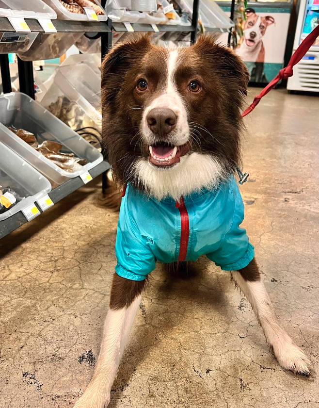 Tomlinson’s Pet Supply Store to Open New Location in Leander